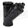 Cast Iron Y Line Strainer