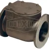Bayco® Classic 3000-Series Swing Check Valve Female NPT